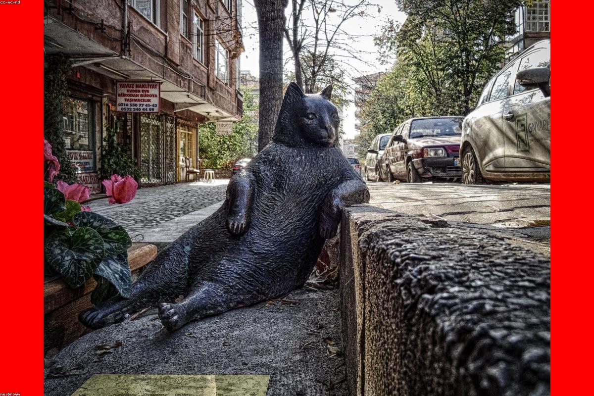Technicien AquaLavo réparant un lave-linge à hublot